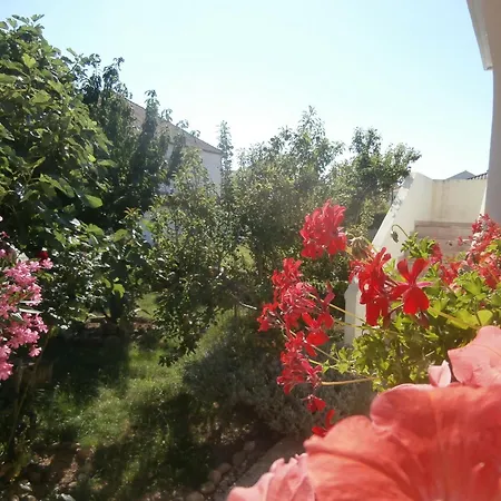 Apartman By The Sea Ljubac, Zadar - 5947